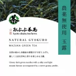Natural Gyokuro - 1000g - Image 5