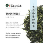 Sencha of Brightness - 80g - Image 2